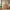 Commode/buffet d’ébéniste Heimdal en chêne massif certifié FSC, avec 1 porte et 5 tiroirs, finition à l’huile naturelle – L88 x H113 x P42 cm – Livré entièrement monté
