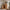 Commode/buffet d’ébéniste Heimdal en chêne massif certifié FSC, avec 2 portes et 2 tiroirs, finition à l’huile naturelle – H91 x L88 x P42 cm – Livré entièrement monté