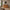 Commode/buffet d’ébéniste Heimdal en chêne massif FSC avec 4 tiroirs et 4 portes, huile naturelle, sur pieds en métal – L172 x H100 x P48 – Livré assemblé