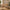 Bureau Sif Snedker en bois de hêtre massif FSC et huile naturelle - L55 x H177 x L126
