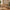 Bureau Sif Snedker en bois de hêtre massif FSC et huile naturelle - L55 x H177 x L126