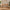Bureau Sif Snedker en bois de hêtre massif FSC et huile naturelle - L55 x H177 x L126