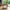 Hermod sidebord med avisholder i massiv egetræ – billede 2