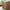Idun TV-bord med lys bred i massiv egetræ – tabacco – billede 3