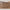 Idun kommode med lys i massiv egetræ – tabacco – billede 24