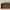 Tyr kommode i massiv egetræ – tabacco – billede 17