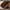 Mane spisebord rundt i massiv egetræ – tabacco, model 90 – billede 15