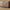 Idun TV-bord med lys bred i massiv egetræ – tabacco – billede 36